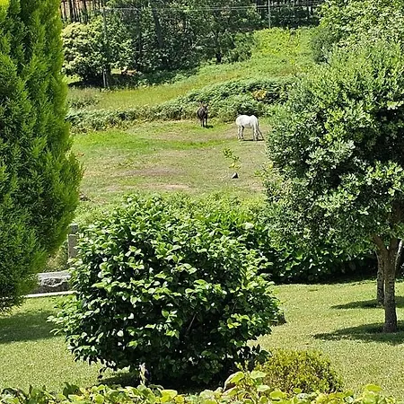 Casa A Gandara شقة