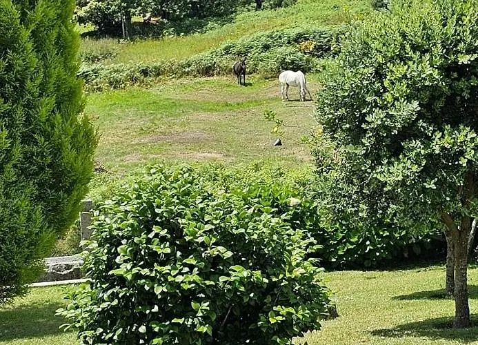 Casa A Gandara דירה